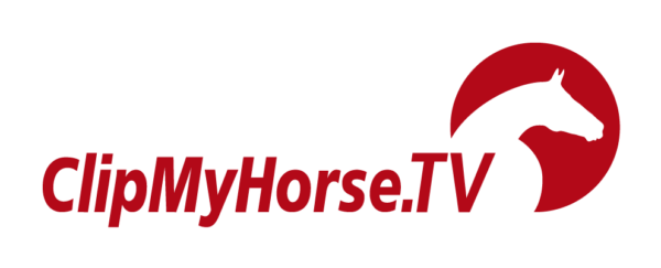 Sponsor